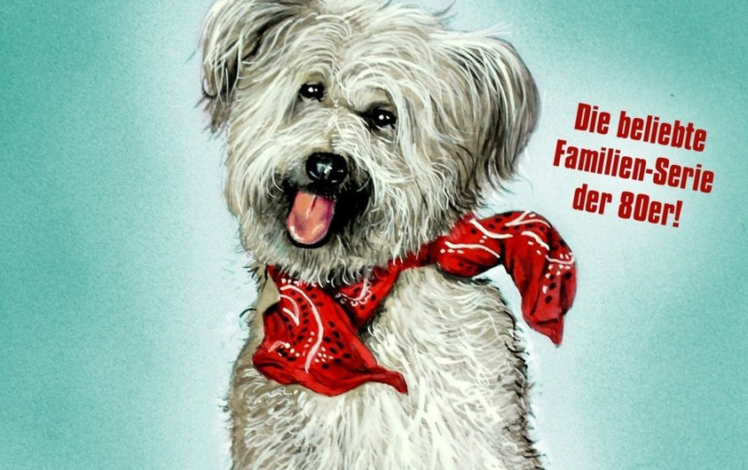 Boomer Der Streuner Boomer Der Streuner