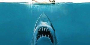 V3 4q6wh898mgugty6avtp0al2zm7k