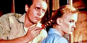 V3 gnadenloser dschungel 