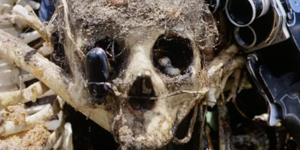 V3 618fc97d 2fb1 4a11 9270 81cee3819ada