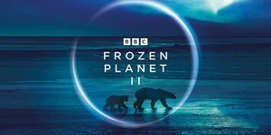 V3 frozen planet 2