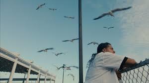 "Mad Bills to Pay: (or Destiny, dile que no soy malo)" - Kritik 