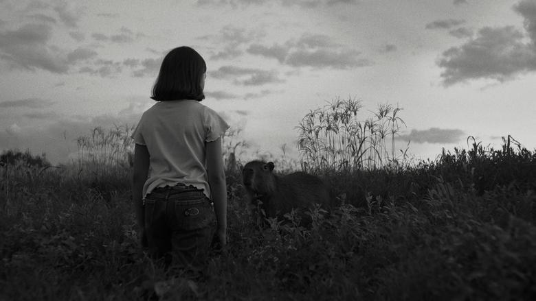 "The Messsage" - Kritik 