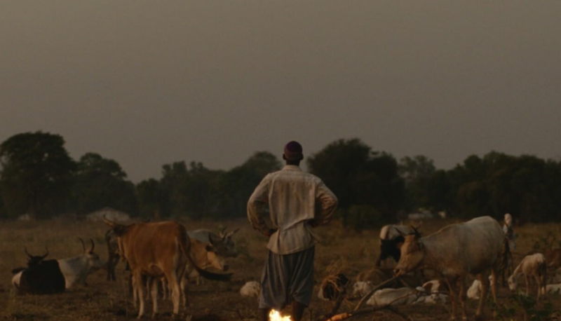 "The Last Shore" - Kritik 