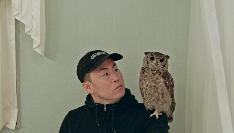 "Dear Tomorrow" - Kritik 