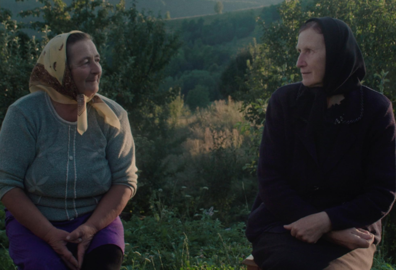 "Double Trouble" - Kritik 