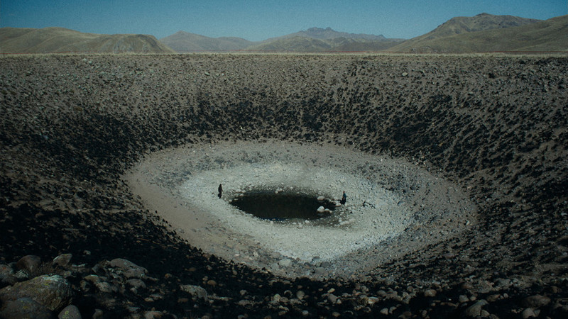 “Anatomy of the Horses” - Kritik