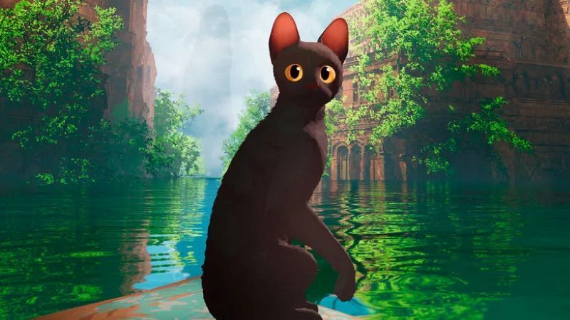 Monatsrückblick Juli 2025: JackoXL