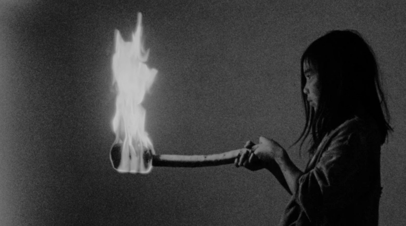 “Mare’s Nest” - Kritik