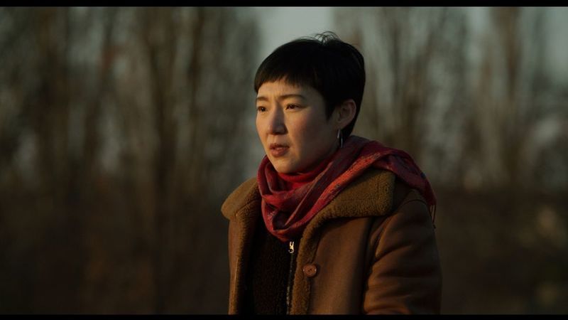 “The Plant form the Canaries” - Kritik