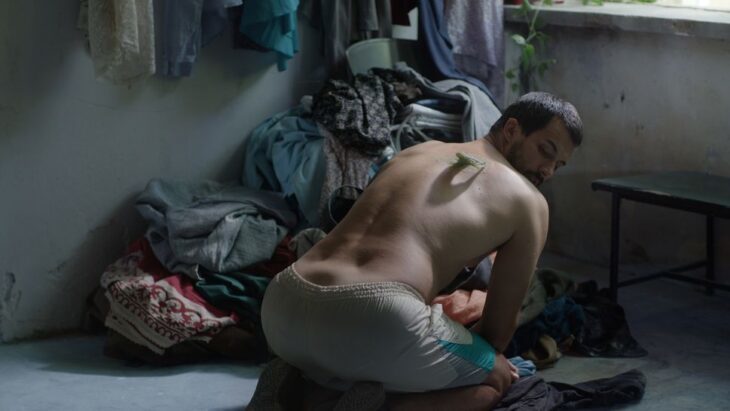 “Desire Lines” - Kritik