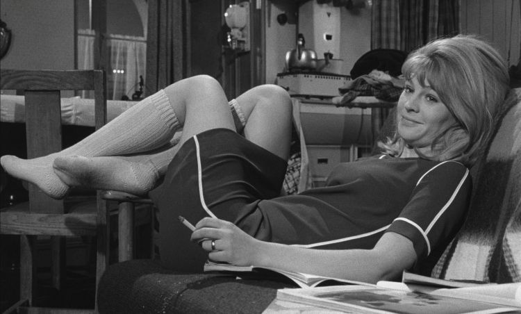 Ein Blick auf den Klassiker „Darling“ (4K UHD + Blu-Ray)