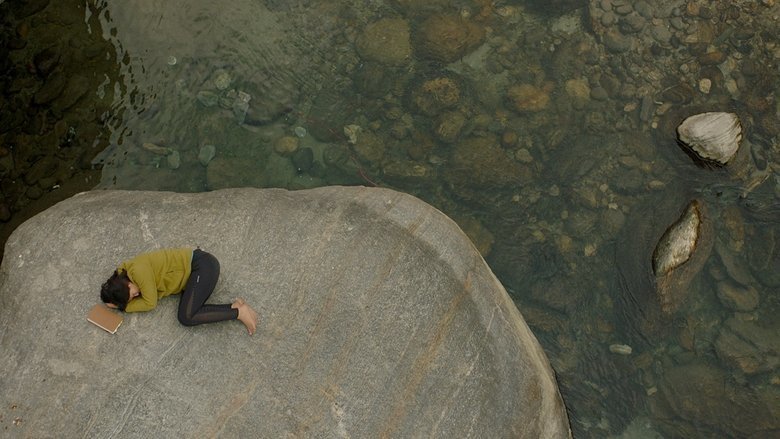 "Shape of Momo" - Kritik 