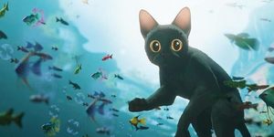 V3 42dbfcf2215f0e3ecddbb5e46e10acdc50d79552d337ac07c93c6e9c66123a2d. sx1080 fmjpg