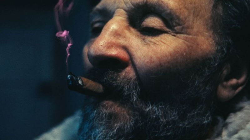 "The Last Will" - Kritik 