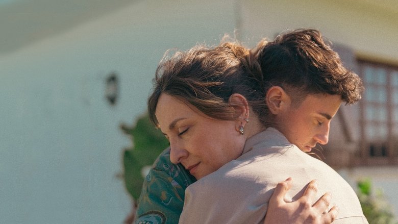 "The Dashed Lines" - Kritik 