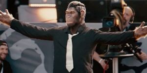 V3 znzy9vmy8ha4ij2vgcm8x1bbolc