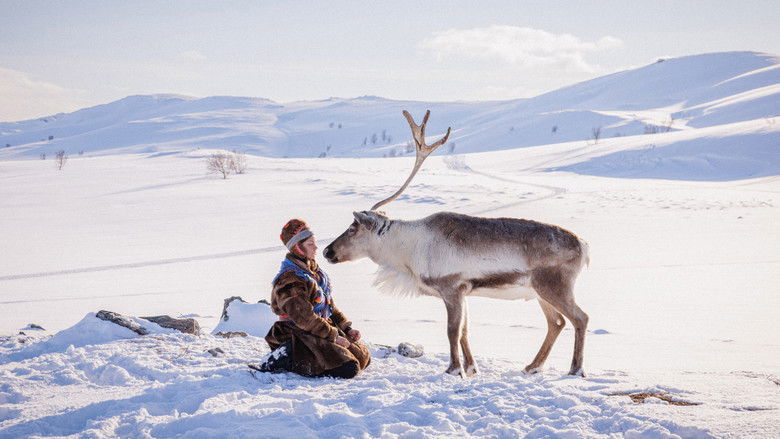 "Árru" - Kritik/Review