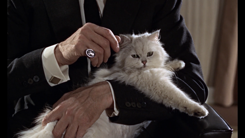 “Last Movies” - Review