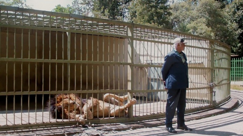 “Wax & Gold” - Review