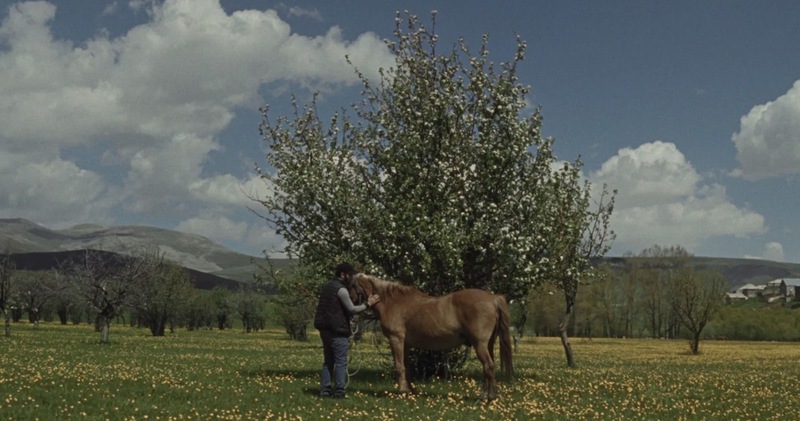 “A Fire There” - Review 