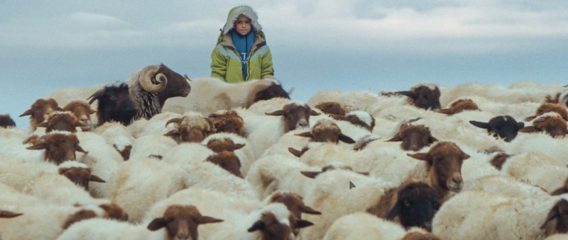 “The Price of the Sun” - Review 