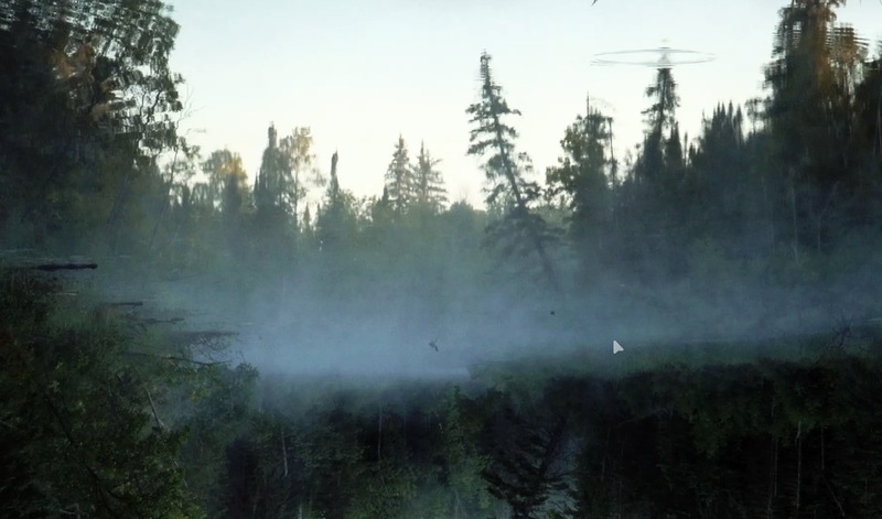 “While the Green Grass Grows: A Diary in Seven Parts” - Review