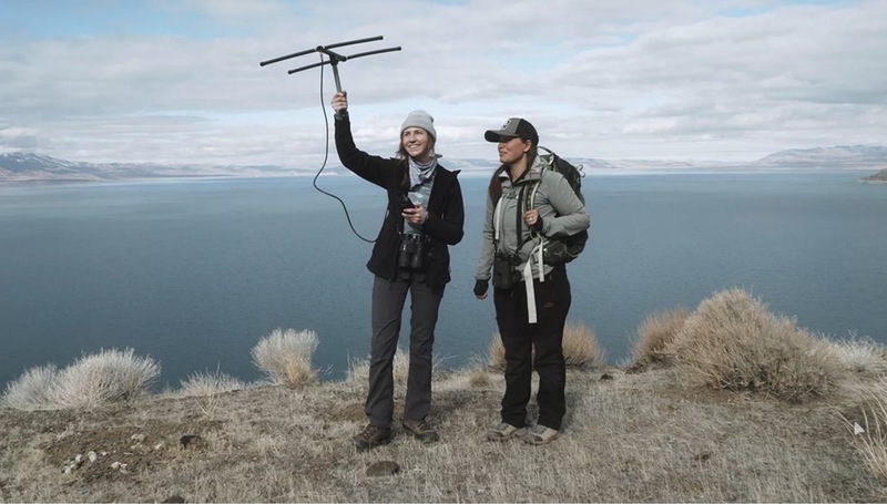 “Humboldt USA” - Review