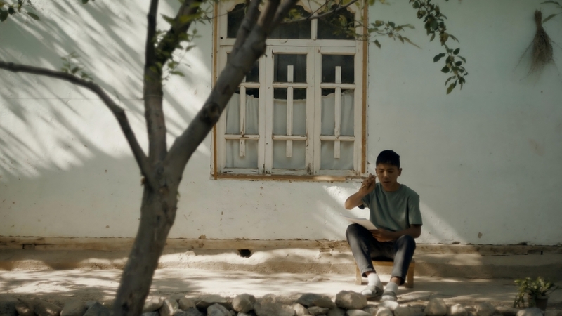 "Skylark" - Review