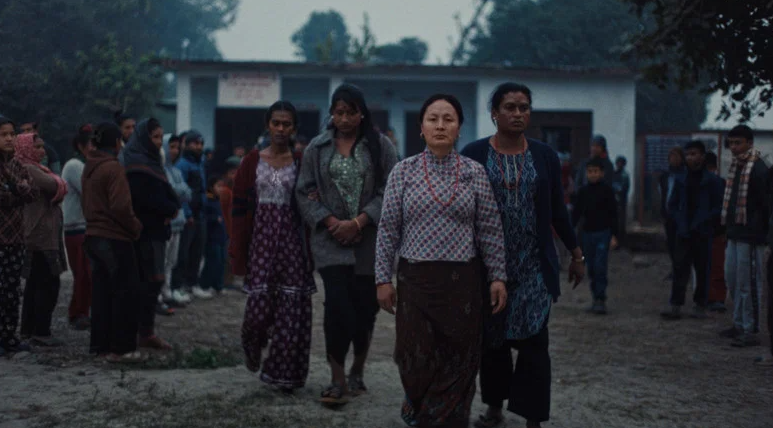 "Elephants in the Fog" - Review