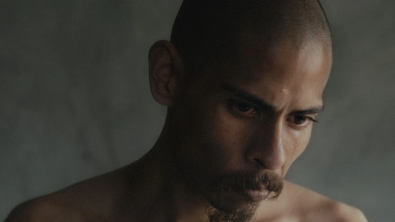 "Against Nature" - Review