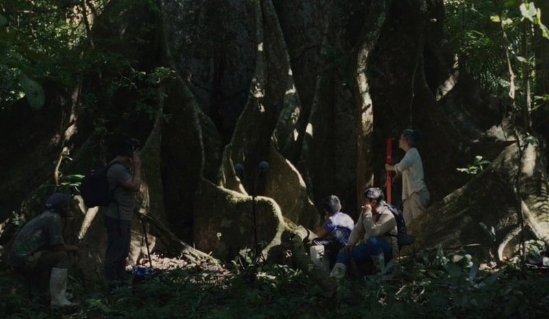 „Far from the Trees“ - Review 
