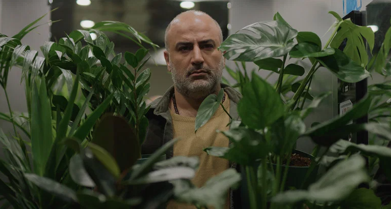 "A Bit of Light" - Review/Filmkritik 