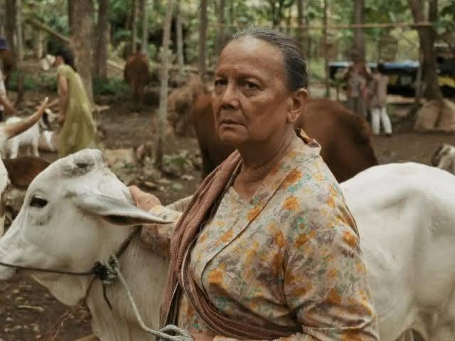 „IBUKU“ - Review