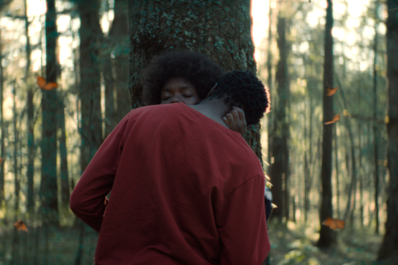 „The Garden We Dreamed“ - Review