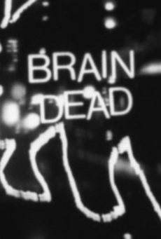 Big s2ah1vzfknzuoevsjop1fibrcp0