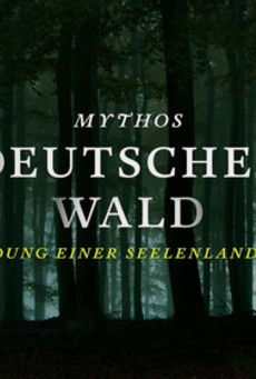 Big mv5bnmjimdm4mgitzdaxmi00zdzkltk2owutndziowrlzjy0mtyzxkeyxkfqcgdeqxvymjiwnjixnjc . v1 