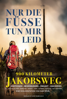 Big mv5bywqwzwnizgytymzloc00ztzhlwjmngetogm5yzmwzjrlmjywxkeyxkfqcgdeqxvymzi0mzezoq  . v1 