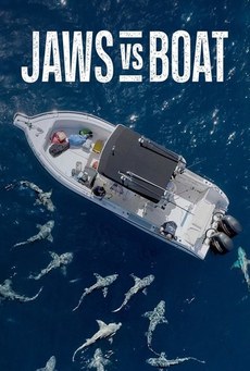 Big mv5bndq1owq2y2ytywmzmc00ntnllwfizwutmwi3mtnin2fjzjg2xkeyxkfqcgdeqxvyndewotiyma  . v1 