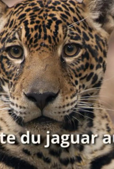 Big mv5bnwnkzwjiyjatngiyoc00ytkzlwjkmmmtmda0y2nhndk5nzy1xkeyxkfqcgc . v1