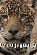 Small mv5bnwnkzwjiyjatngiyoc00ytkzlwjkmmmtmda0y2nhndk5nzy1xkeyxkfqcgc . v1