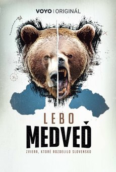 Big mv5bodmznjgwntctyzvlzs00odhhltg2ztutmjk1ywq3ywrmmtawxkeyxkfqcgc . v1