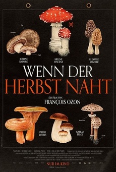 Big 1154e1330041de0265823c01615d7589