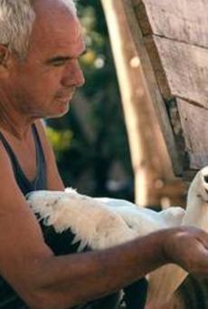 Big mv5bnjdiodm0odctmmnkmc00mgmwltk1ndmtzmywyjbln2ezzmy1xkeyxkfqcgc . v1 