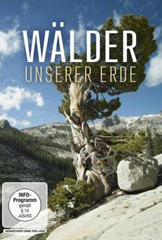 Big mv5bmwq4mjcyzgutodi2ni00zmzjltk2nmetzda5ztyzzdcxzwnixkeyxkfqcgc . v1