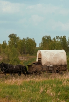 Big mv5bmgzlztzmndqtyjvmns00ytrkltgyymqtzme0odeymdgxyjuxxkeyxkfqcgc . v1 