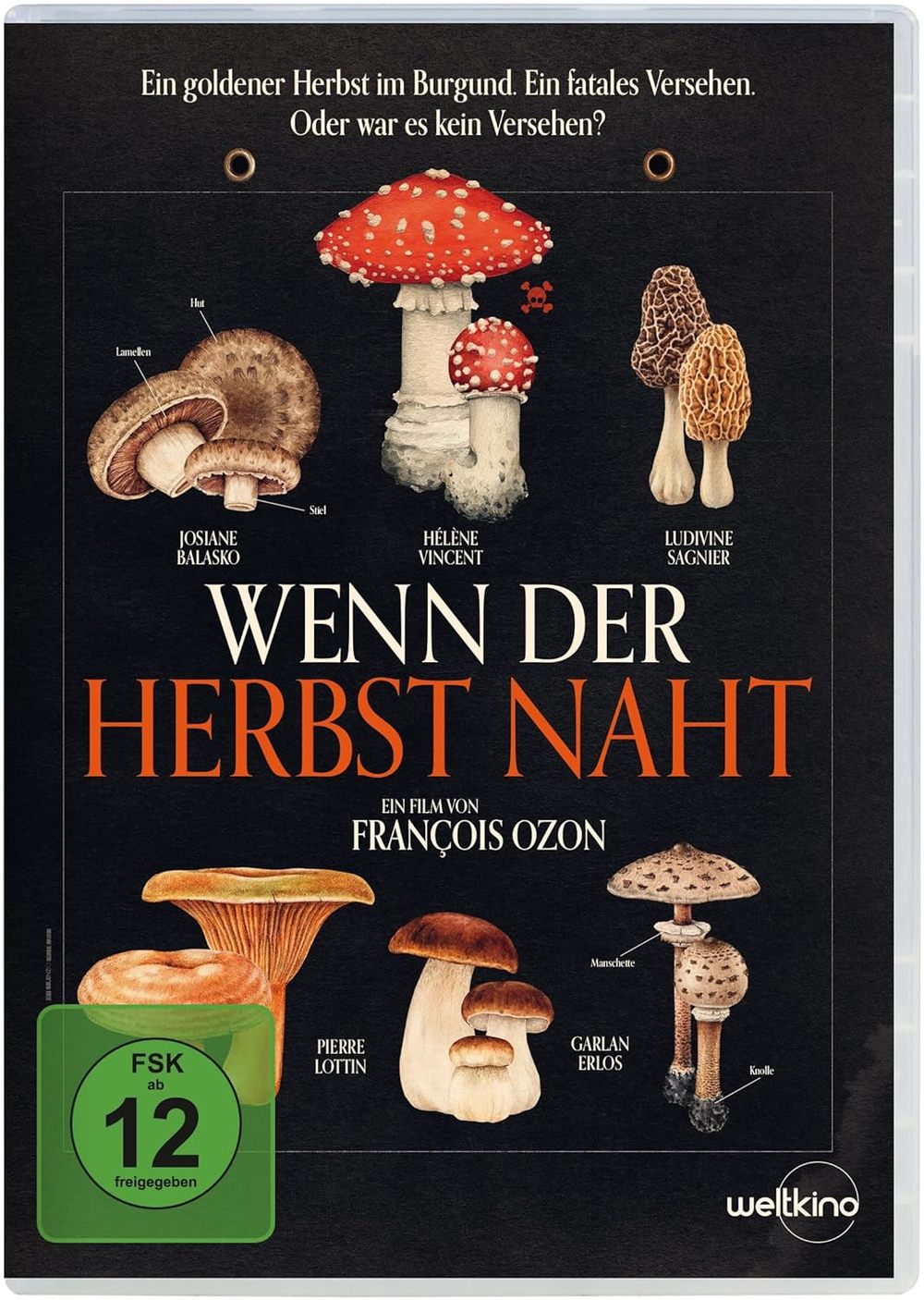 Ein goldener Herbst in Burgund: Wir verlosen das Drama "Wenn der Herbst naht" auf DVD