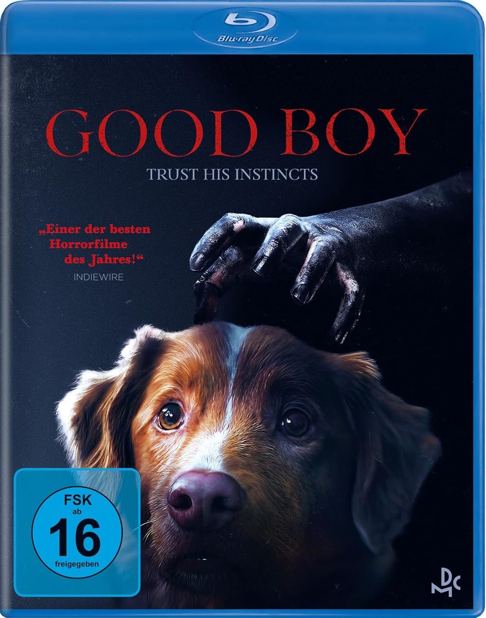 Ein Hund gegen das Böse: Wir verlosen die Horror-Überraschung "Good Boy - Trust his instincts" auf BD