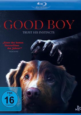 Ein Hund gegen das Böse: Wir verlosen die Horror-Überraschung "Good Boy - Trust his instincts" auf BD