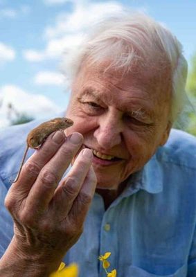 Sir David Attenborough wird 100! Zu seinen Ehren verlosen wir die eindrucksvolle Doku-Mini-Serie "Säugetiere"